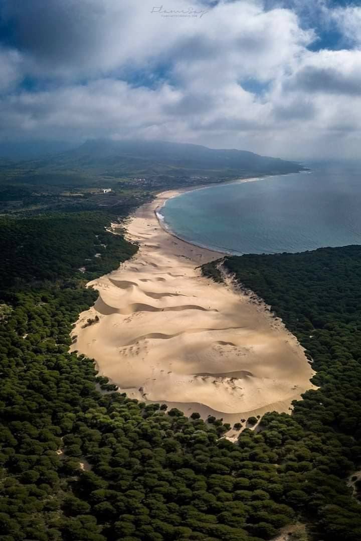 Lugar Bolonia