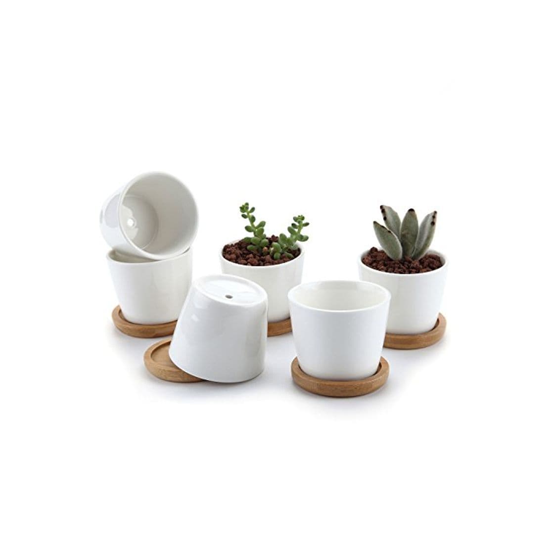 Producto T4U Conjunto de 6 Ceramica Blanca Plaza Diseño Simple Cerámicos Planta Maceta Suculento Cactus Planta Maceta Planta Contenedor Vivero Maceta Macetas de jardín Macetas Envase