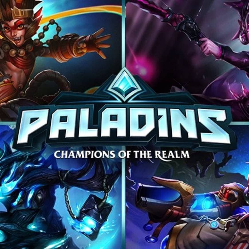 Videogames Paladins 