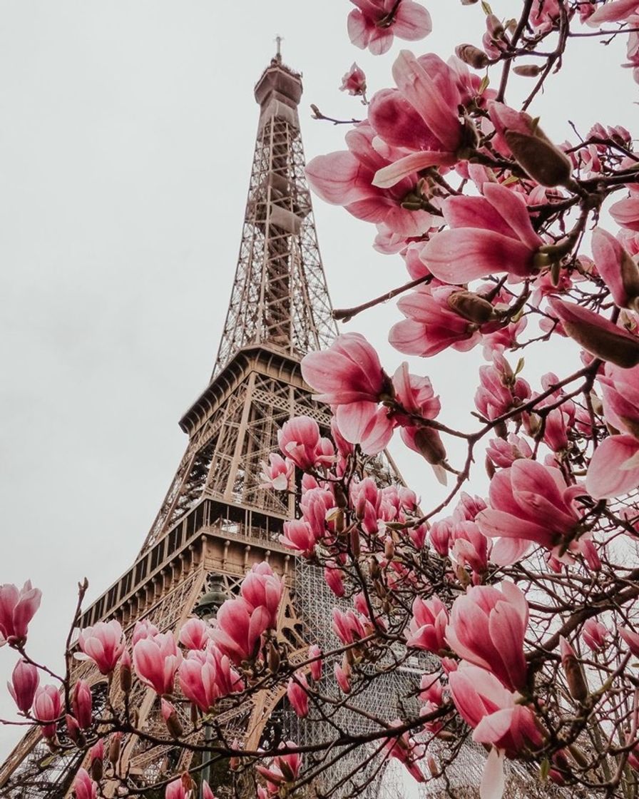 Moda Paris, France 🇫🇷 