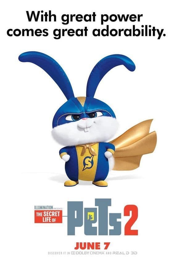 Película The Secret Life of Pets 2