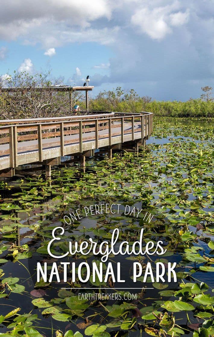 Place Parque Nacional de los Everglades