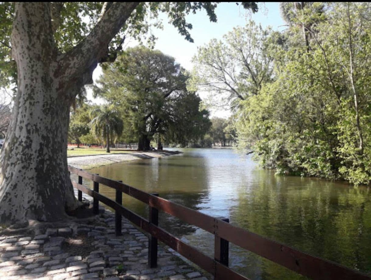 Lugar Lagos de Palermo