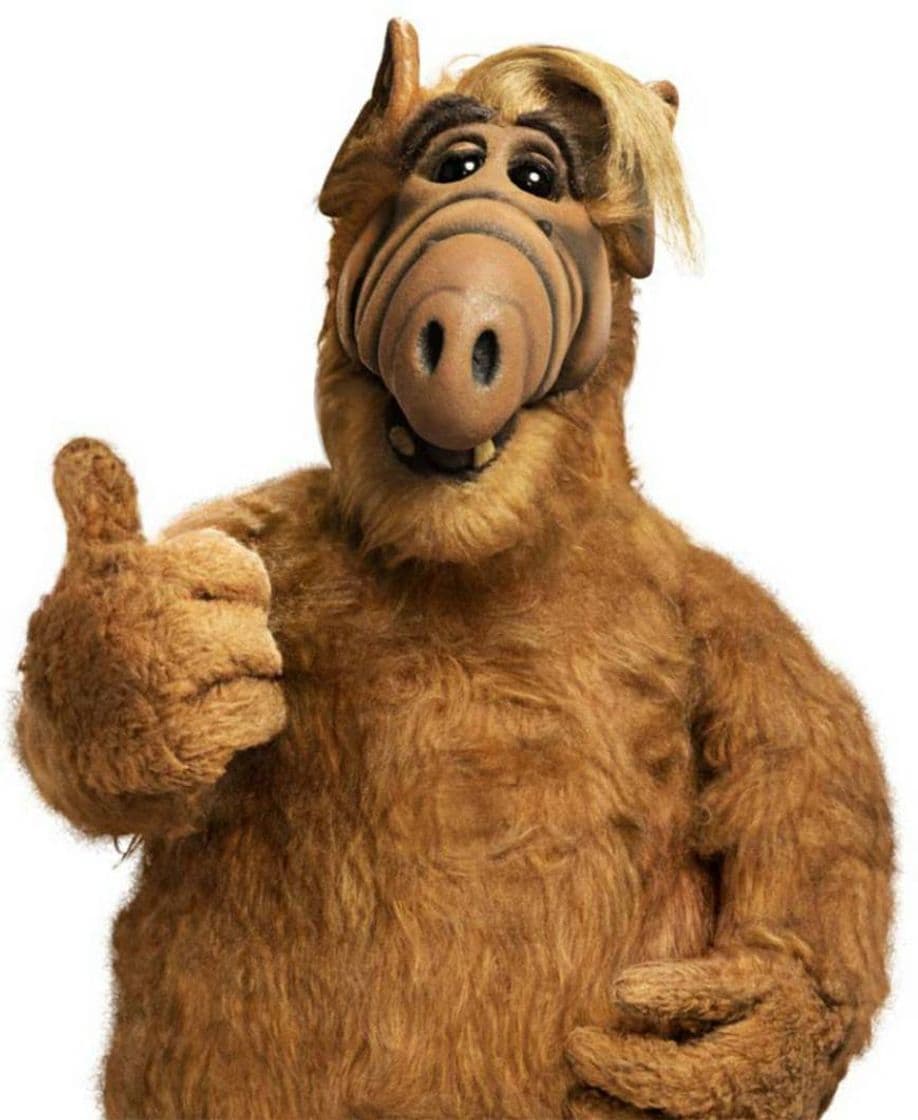 Serie ALF (TV Series 1986–1990) - IMDb