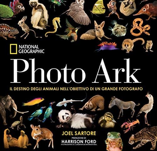 Book Photo Ark. Mini Edizione