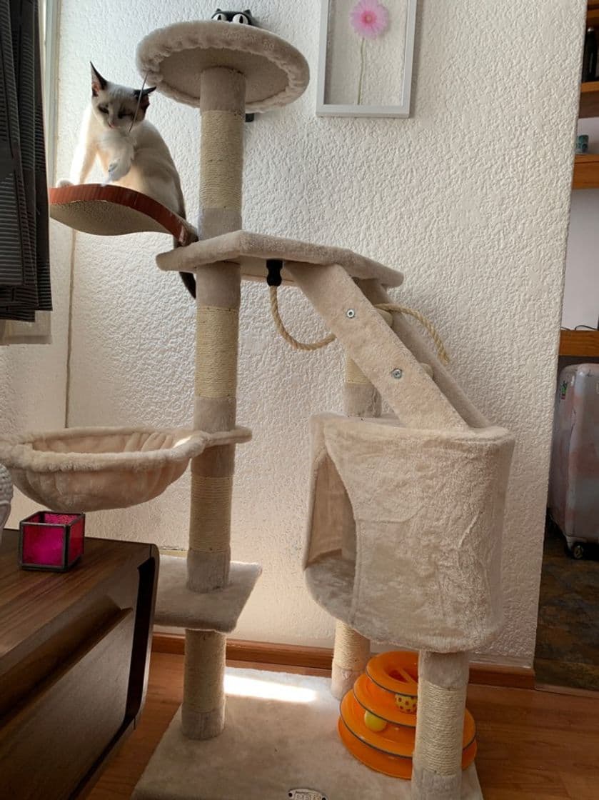 Fashion Torre para gatito