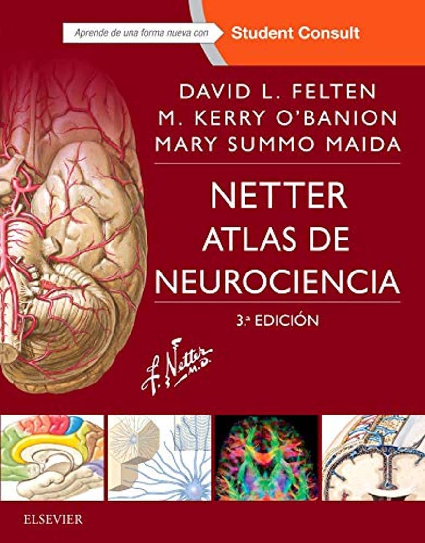 Libro Netter