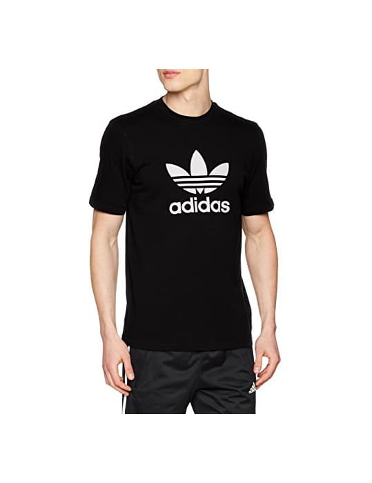 Fitness adidas Trefoil T-Shirt