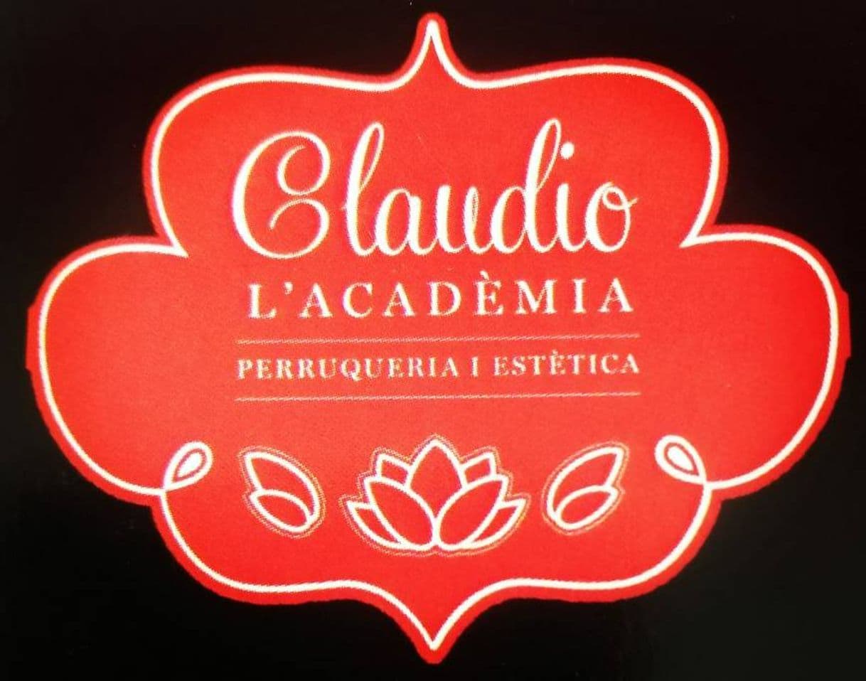 Fashion Academia de peluquería 