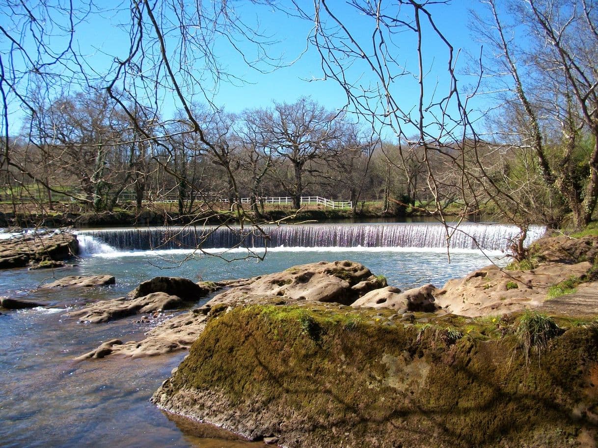 Place Parque del Camarao