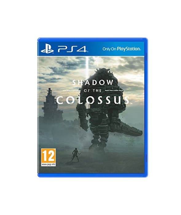 Electronic Shadow Of The Colossus