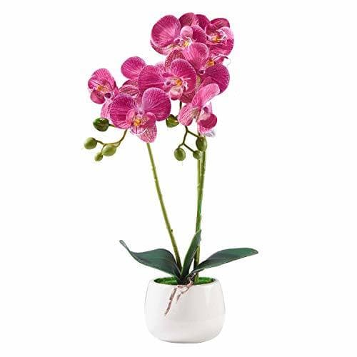 Producto Alicemall 33cm Flor Artificial orquídea de Seda Phalaenopsis en Maceta