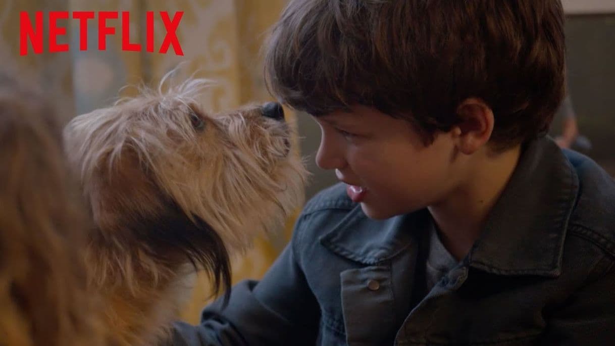 Movie Benji | Sitio oficial de Netflix

