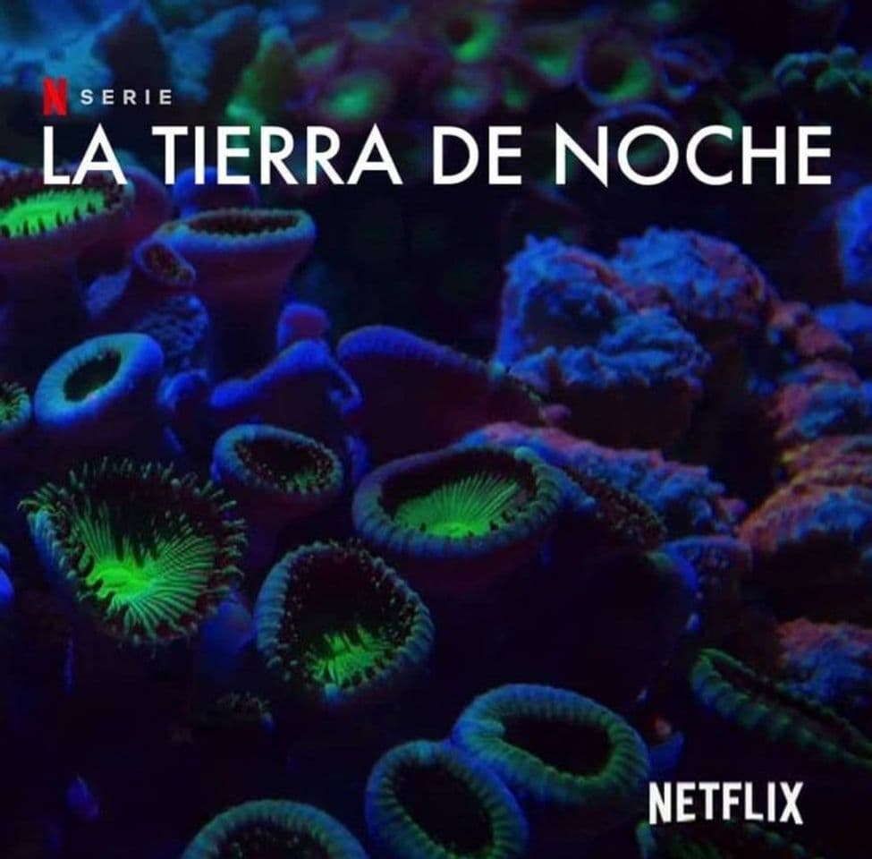 Serie La Tierra de noche | Netflix Official