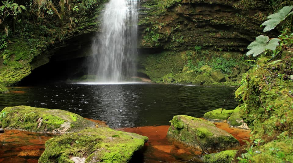 Lugar Cueva de los guacharos