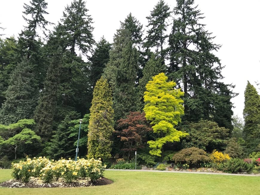 Place Stanley Park