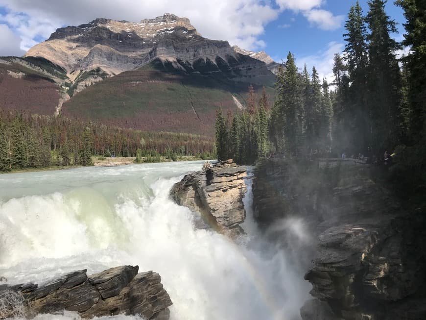 Lugar Athabasca Falls