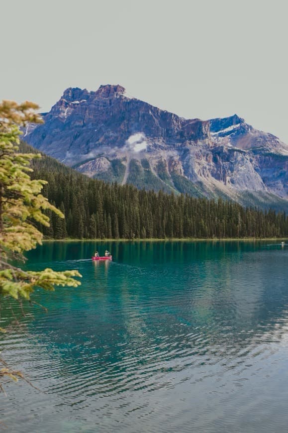 Lugar Emerald Lake Lodge