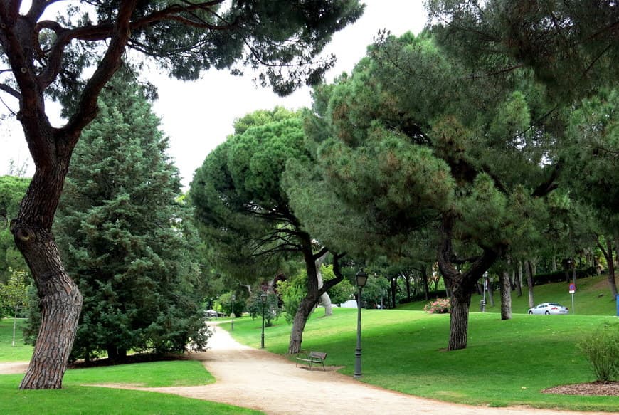 Place Parque De La Bombilla