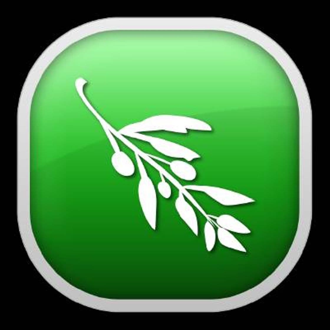 Moda Olive video editor