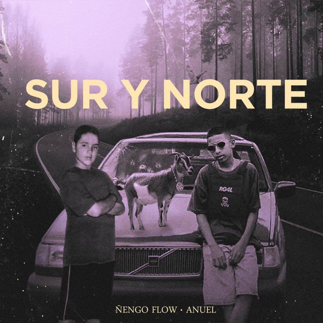 Music Sur y Norte - Ñengo Flow, Anuel AA