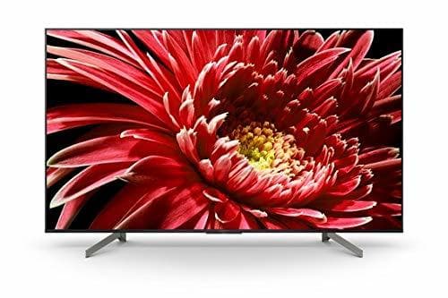 Place Sony KD-65XG8596 - Televisor 65" 4K Ultra HD HDR LED con Android