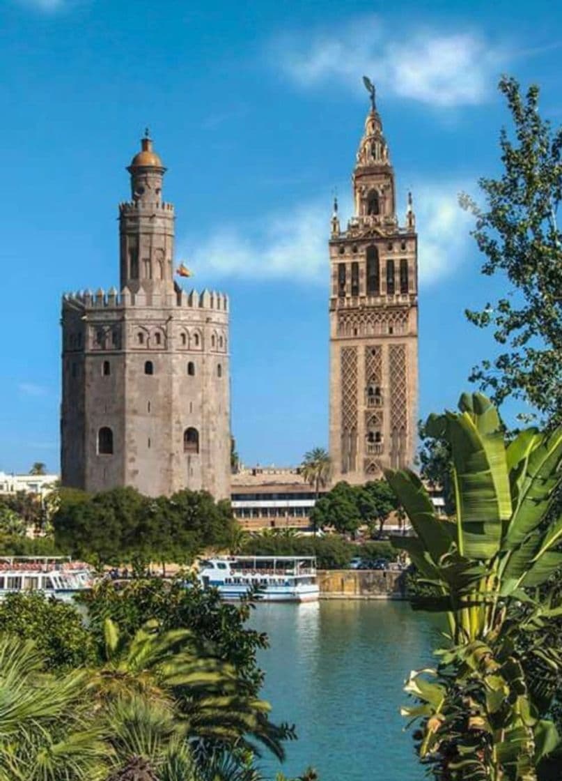 Place Torre del Oro