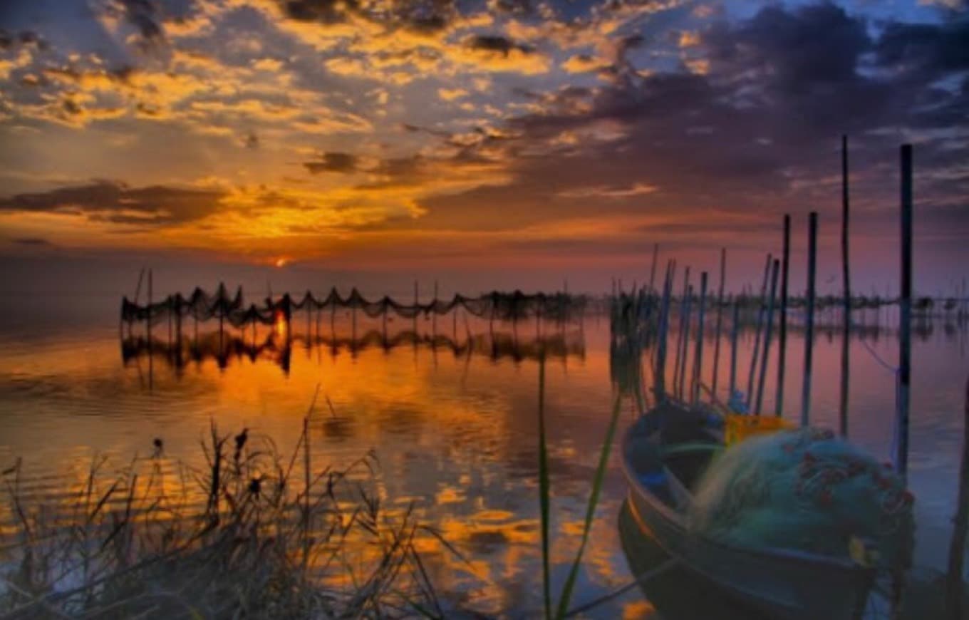 Place Parc Natural De l'Albufera