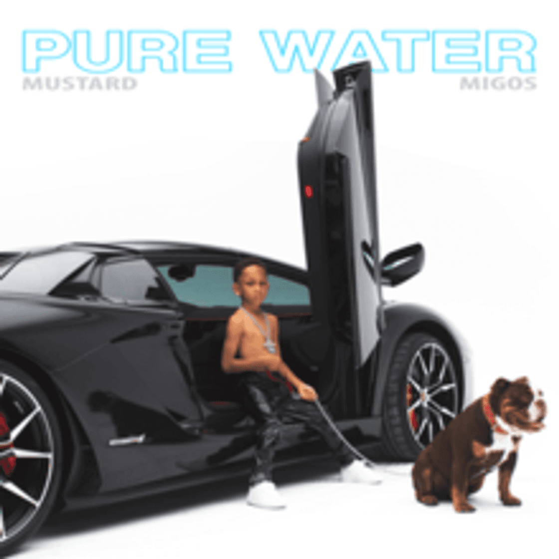 Canción Pure Water (with Migos)