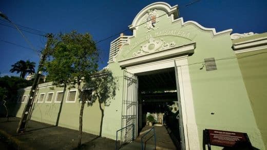 Place Mercado da Madalena, Recife;Pernambuco-BR