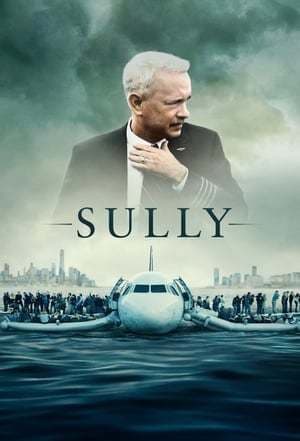 Película Sully