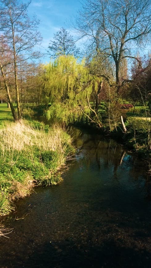 Lugar Castle Gardens