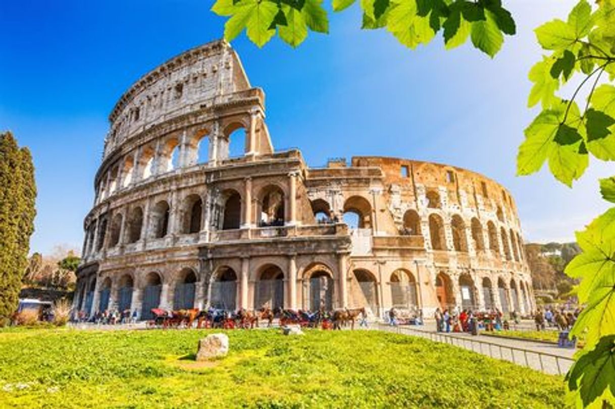 Lugar Coliseo de Roma