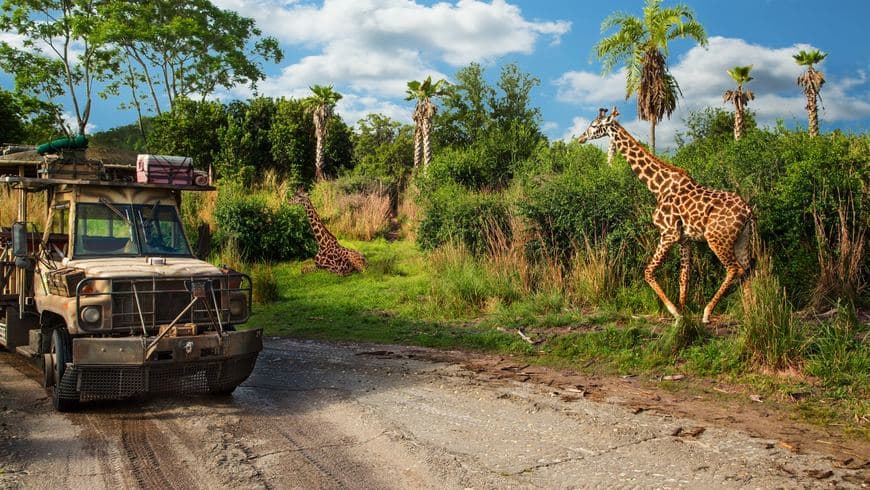 Restaurantes Kilimanjaro Safaris