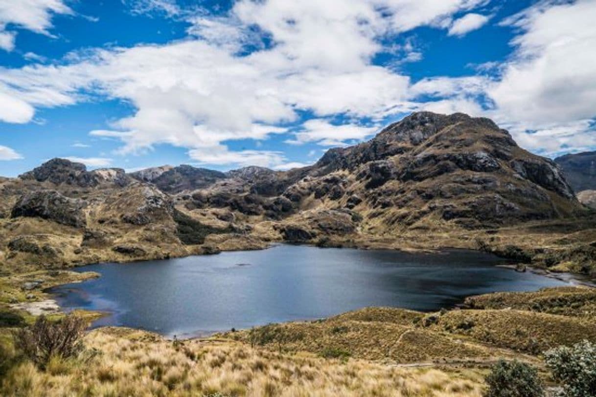 Place Parque Nacional Cajas