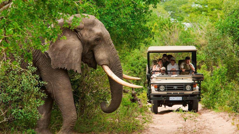 Lugar Parque nacional Kruger