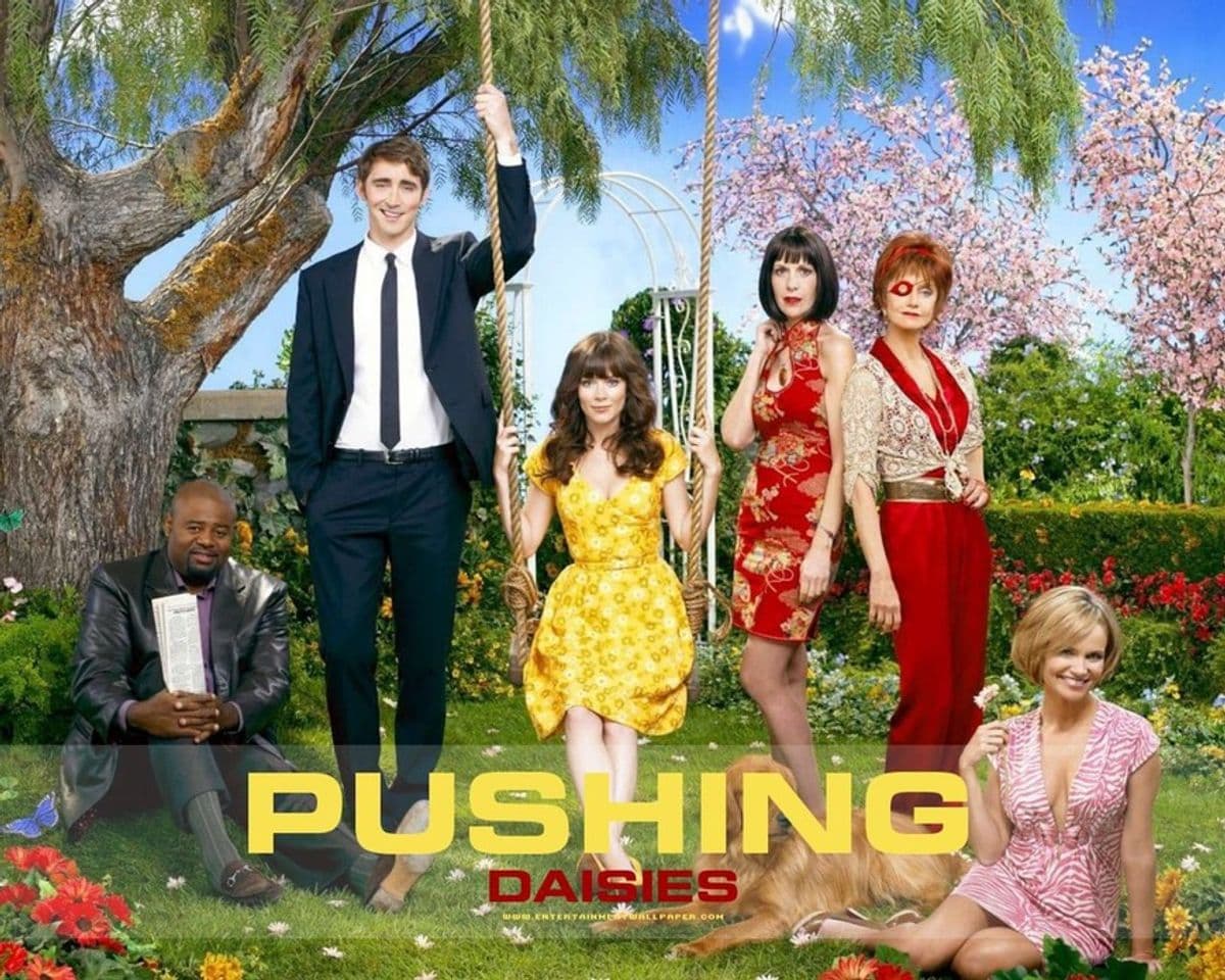 Serie Pushing Daisies 