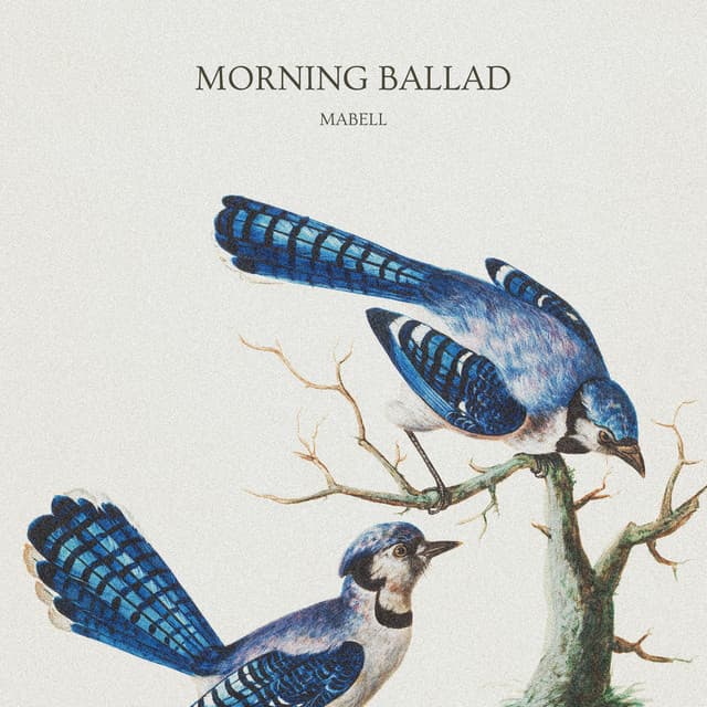 Canción Morning Ballad