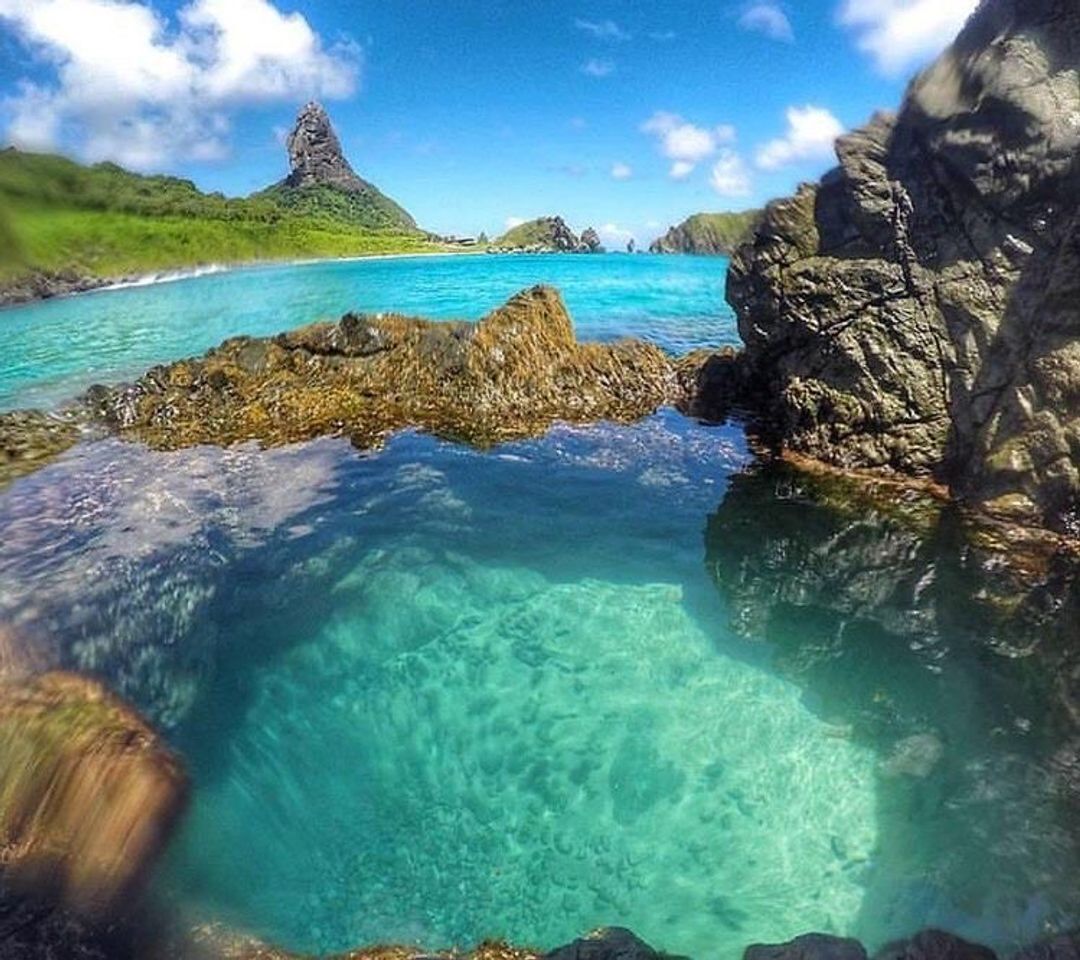 Fashion Fernando de Noronha 