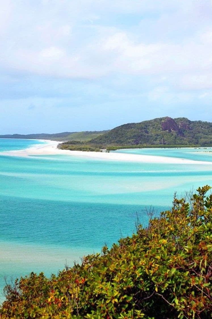 Fashion Whitehaven beach,Austrália 