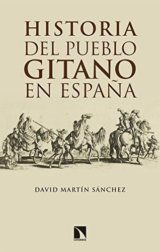 Book Historia del pueblo gitano en España