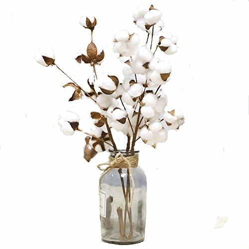 Producto Sencillo Vida Flores Secas Tallos de Algodón Flores Artificiales de Seda para