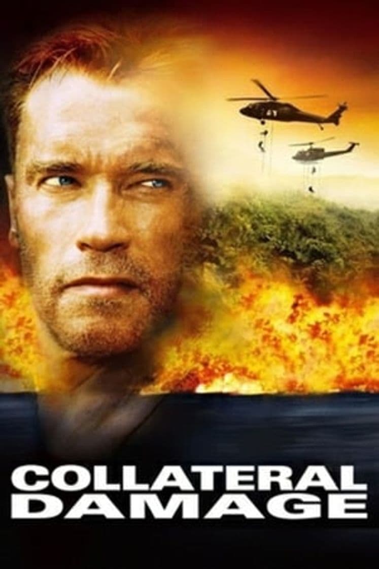 Película Collateral Damage