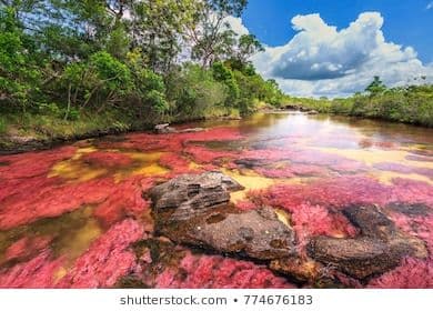 Lugar Caño Cristales