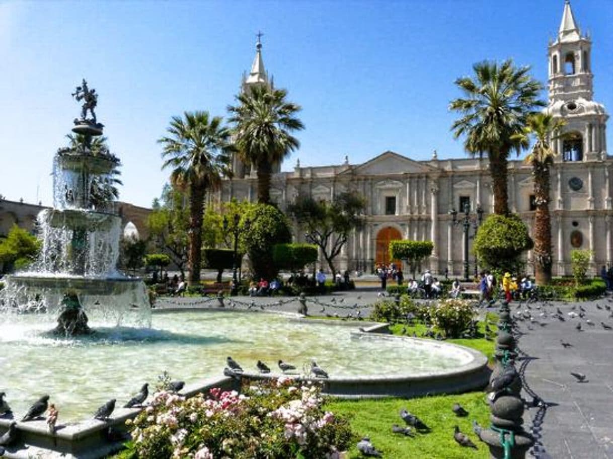 Lugar Arequipa Center