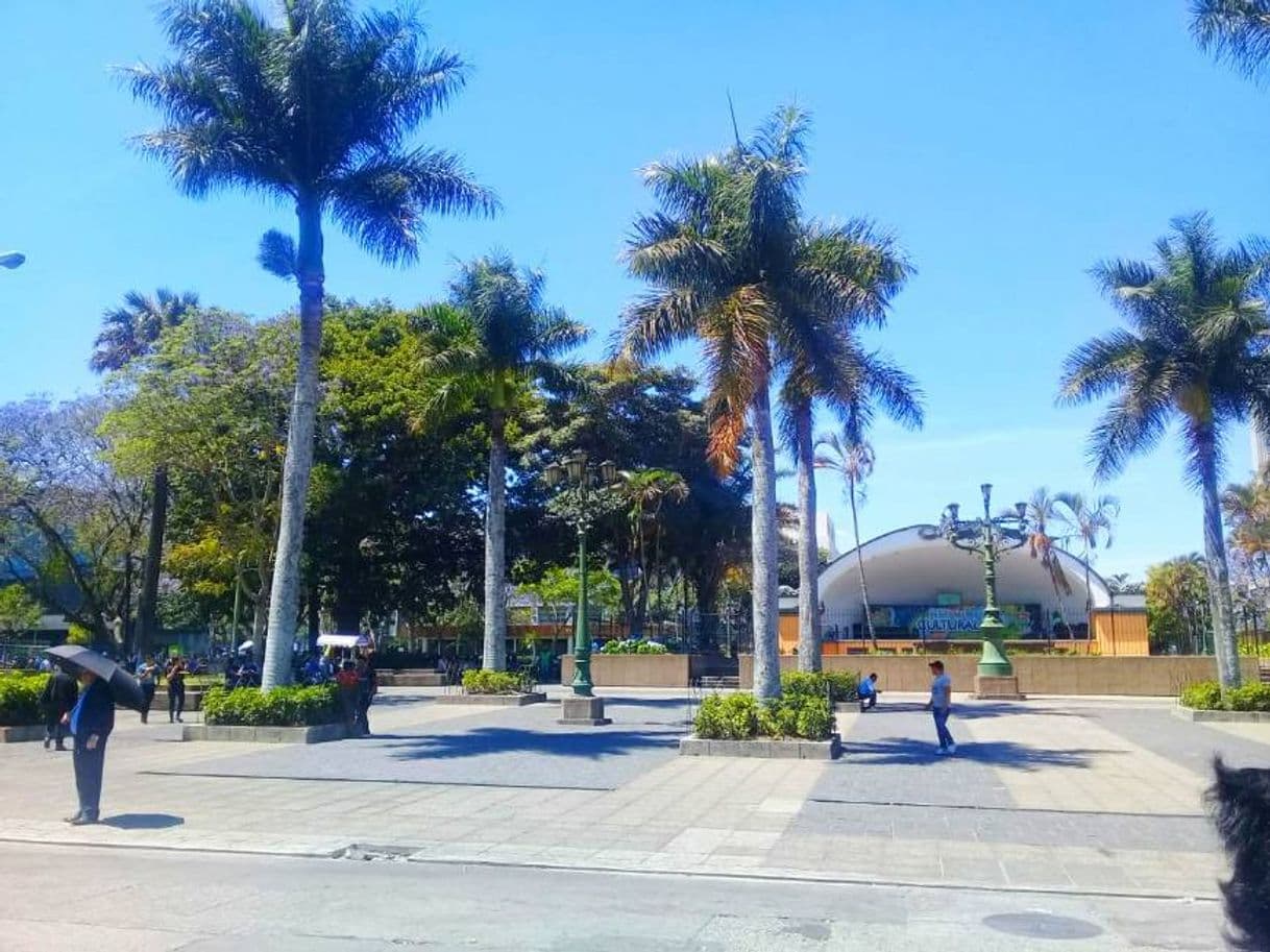 Place Plaza de la Constitución