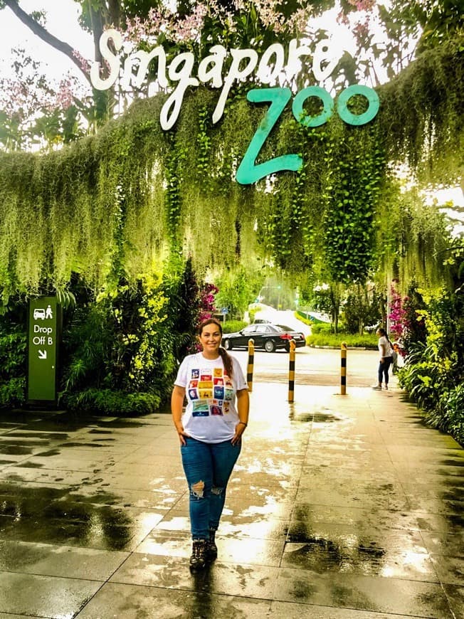 Lugar Singapur Zoo