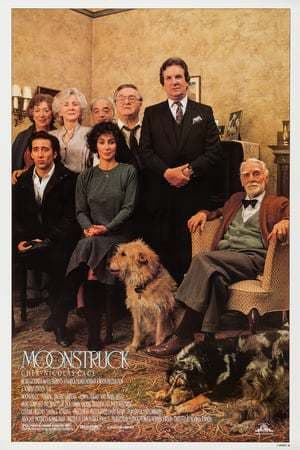 Película Moonstruck