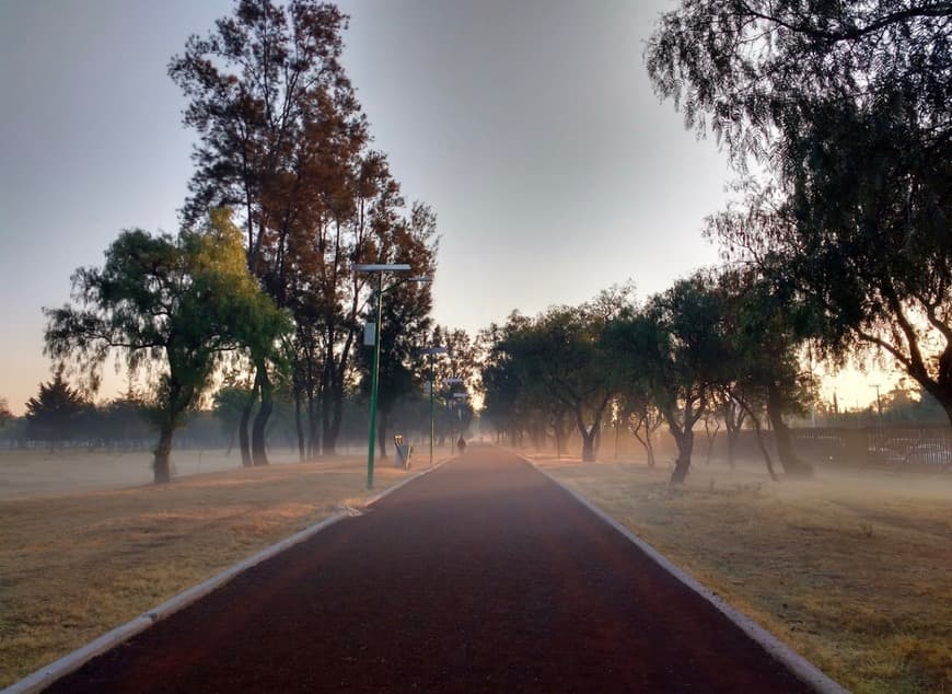 Place Bosque de Aragón