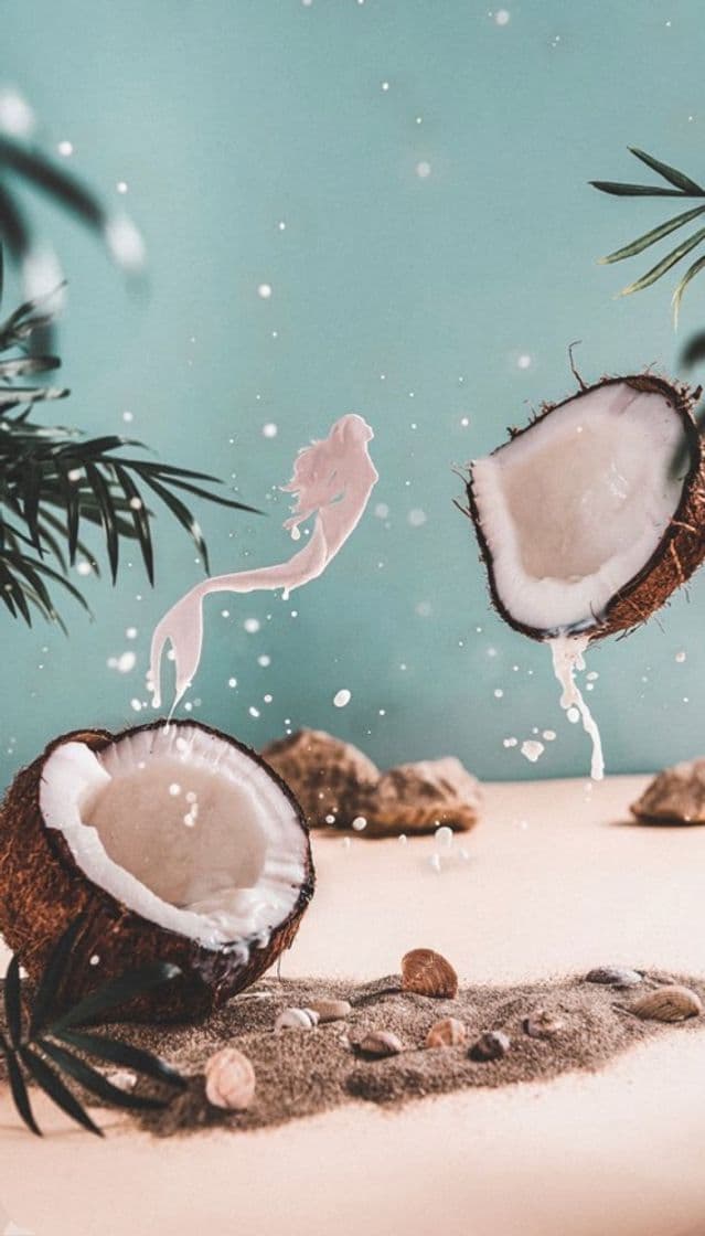 Moda Coconuts wallpaper 